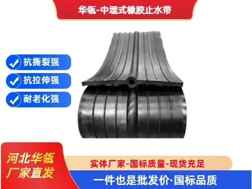 止水带 (1)