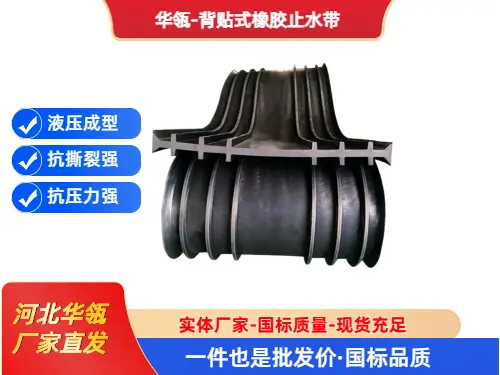 止水带 (2)
