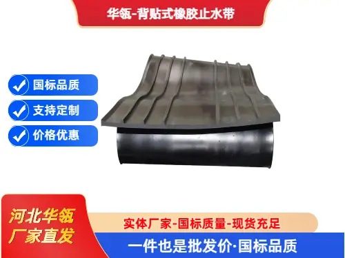 止水带 (4)